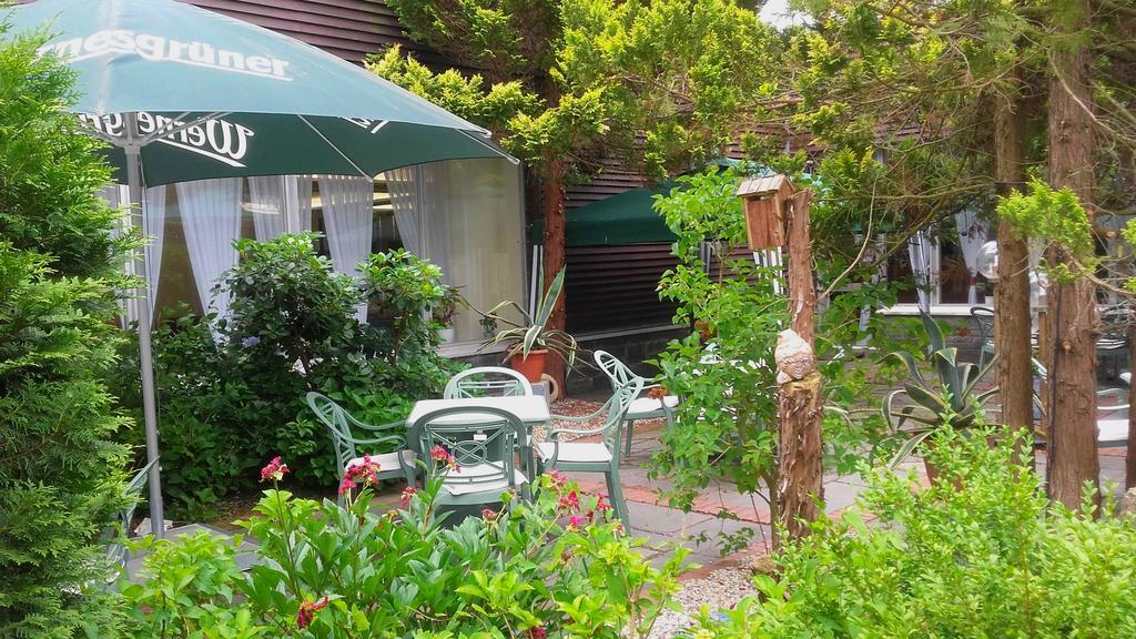 Ferienhotel Markersbach מראה חיצוני תמונה